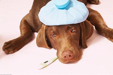 《沙丘：香料战争》确认将于9月14日正式发售